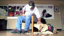 Pairing Veterans With Service Dogs