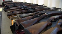 More Than 200 Guns Found in Suspect's Home