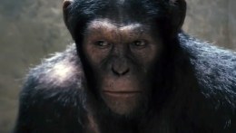 So Here's Four Seconds--FOUR!--From "Rise of the Planet of the Apes"