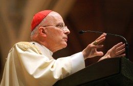 Cardinal: There Are Icicles on the Pews