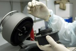 Austin Hearing Could Lead to Posthumous DNA Exoneration