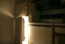 100 Dead Cats Found in Freezer