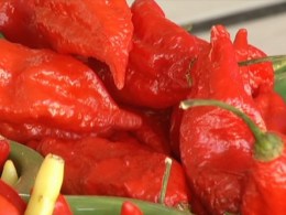 Man Claims Hottest Pepper in the World