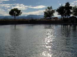 Worth the Drive: Balmorhea State Park