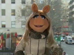 Oink Oink! An Interview With Miss Piggy