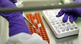 Texas Swamped With Swine Flu Samples