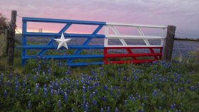 Worth the Drive: Ennis Bluebonnet Trails Festival