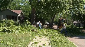 McKinney Cleans Up After Severe Weather
