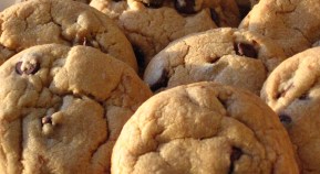 Fake-n-Bake: A Sweet Cheat Sheet