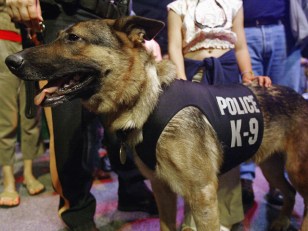 Men File Suit After Dogs Sent Them to Jail