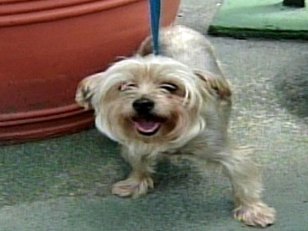 Mysteriously, Dallas 'Sunshine' Found in Miami