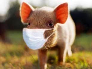 Swine Flu Declaration May Mean Little to N. Texas