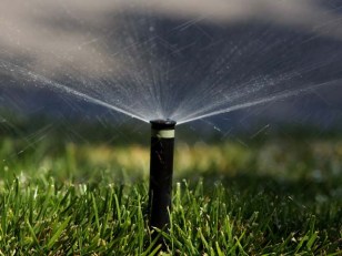 Crash Diet: How Dramatic Steps Cut McKinney's Water Use