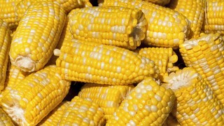 Man Charged With Shooting Corncobs at Neighbor's Home