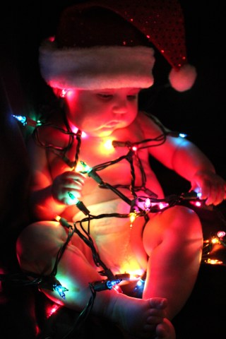 Holiday Photos 2011 - Gallery III