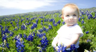 Sitting Pretty: More Bluebonnet Viewer Photos