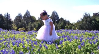 Sitting Pretty: Texas Bluebonnet Viewer Photos