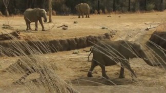 Controversial Zookeeper Resigns