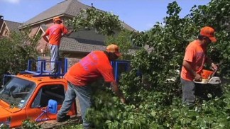 Storm Cleanup in Lantana