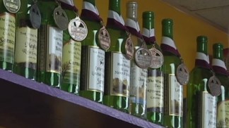 The Wine Maker's Toy Store