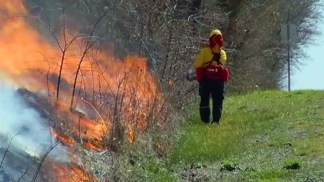 Controlled Burn in Cedar Hill