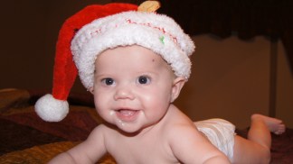 Holiday Photos 2011 - Gallery IX