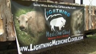Celebrating Lightning Medicine Cloud