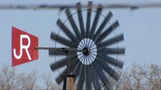 A Horse Park Searches for a Home in Dallas