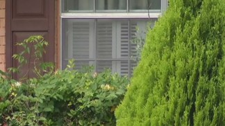 Burglars Enter Homes Through Open Windows