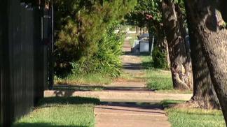 Reward Doubled in Dallas Sexual Assault Case