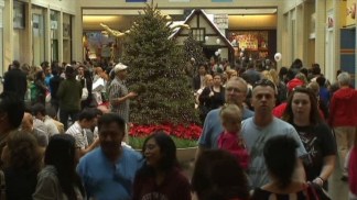 Shoppers Pack Malls for Black Friday Deals