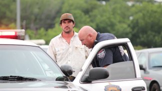 Nearly 20 Cows Killed in Cattle Trailer Crash