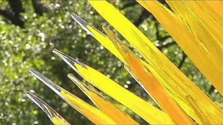Chihuly a Spectacular Display, Day or at Night