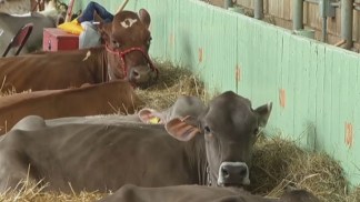Drought Tough on Farmers and Ranchers