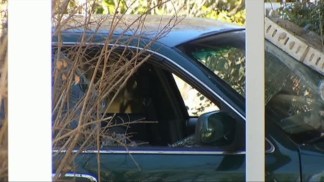 Suspect Steals Car With Victim's Kids Inside