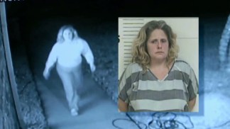 Arrest Made in Thefts of Christmas Decorations