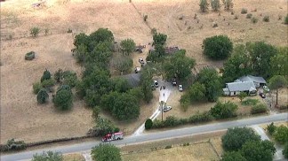 Sheriff Investigating Deaths of Nine Horses