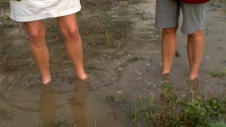 Wasting Away in "Mud-aritaville"