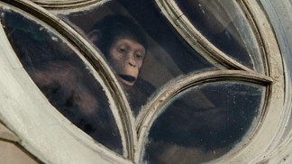 "Rise of the Planet of the Apes"