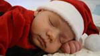 Holiday Photos 2011 - Gallery V