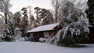 Your Christmas Day Snow Photos - Gallery III