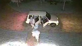 Camera Captures Theft of Pricey Plant Pots