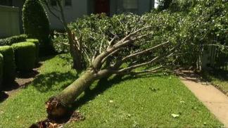 The National Weather Service Assesses Damage