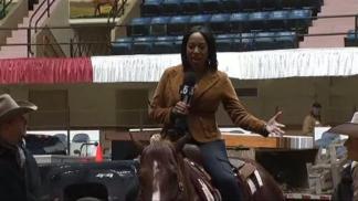 Stock Show Kicks Off Friday