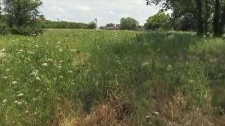 Court Order Blocks Parking Lot in Wildflower Area