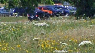 Flower Fight Continues Near Dallas Arboretum