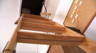 Little Elm Woman Falls From Attic Ladder