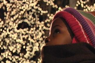Christmas Lights by Carriage Ride