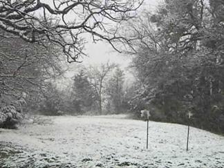 Heavy Snow South of the Metroplex