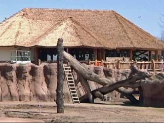 Sneak Peek at the Dallas Zoo